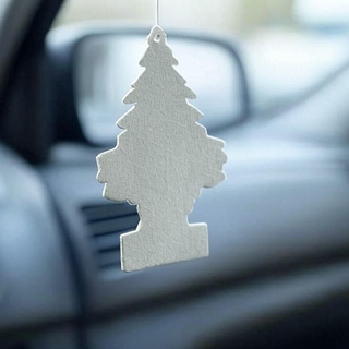 Auto Air Fresheners