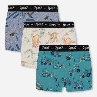 Boys Boxer Briefs
