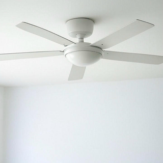 Ceiling Fans