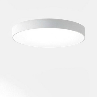 Ceiling Lights