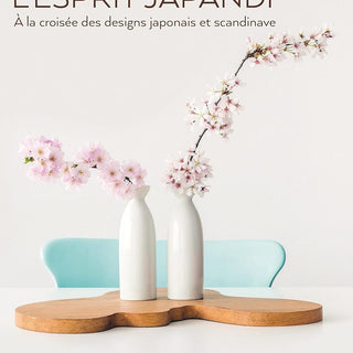 Crafts & Hobbies Books in French