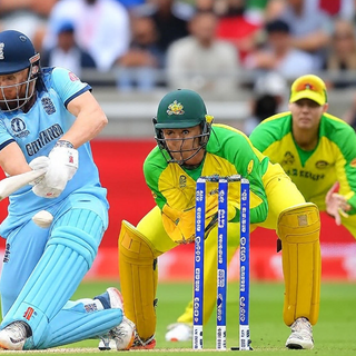 Cricket