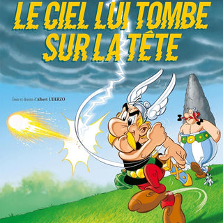 Graphic Novels Young Adult Books in French