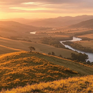 Landscape Pictures