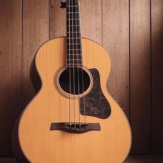 Acoustic Basses