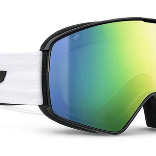 Alpine Skiing Goggles