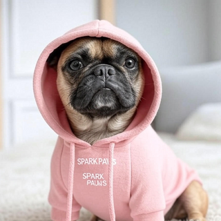 Apparel for Dogs