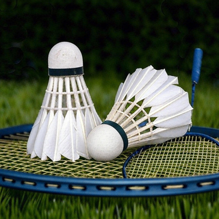Badminton