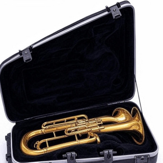 Cases for Wind Instruments