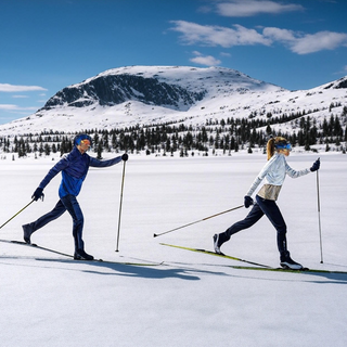 Cross-Country Skiing