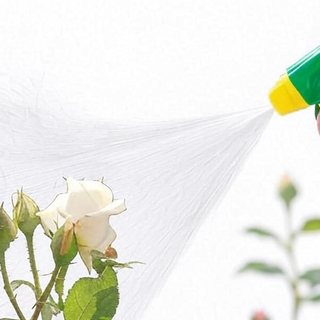 Garden Insect Control