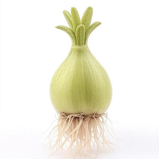 Flower, Vegetable & Herb Bulbs