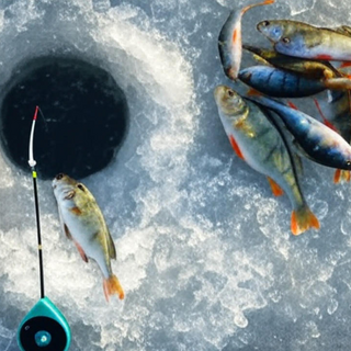 Ice Fishing