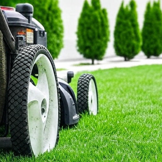 Lawn & Grass Care