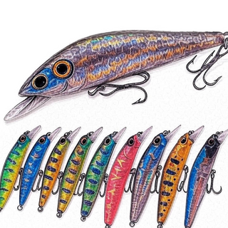 Lures & Baits