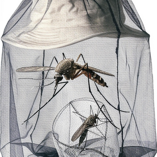 Mosquito & Bug Net Gear