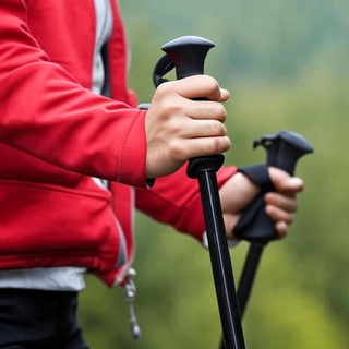 Trekking Poles & Sticks