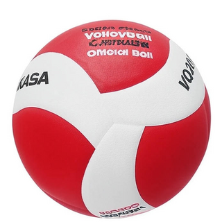 Volleyball Balls