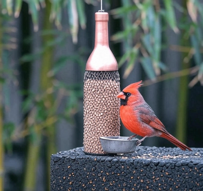 Bird Supplies