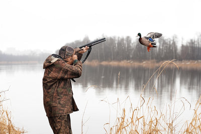 Hunting