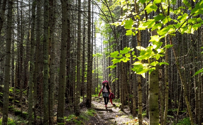 Outdoor Recreation