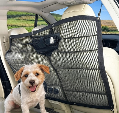 Pet Car Safety